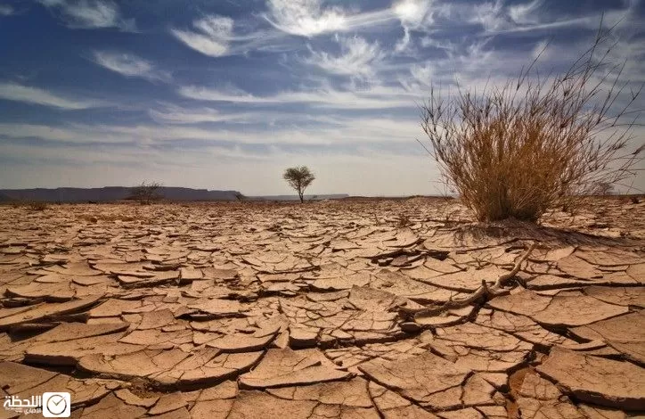 مدار الساعة,أخبار عربية ودولية