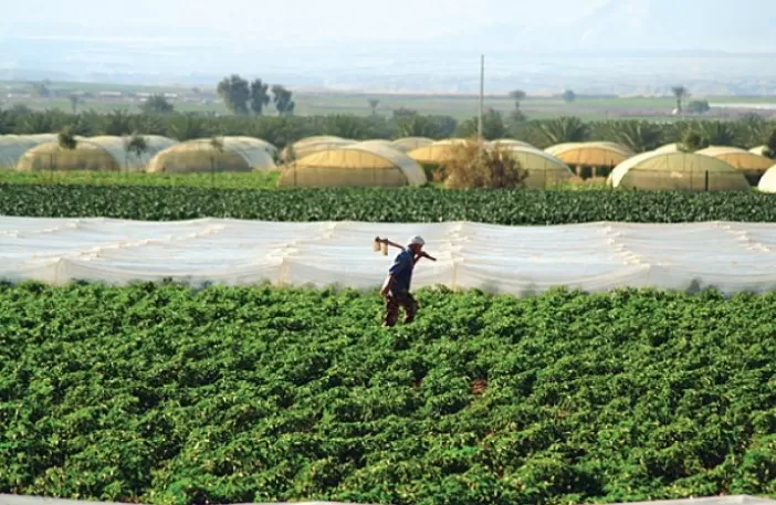 مدار الساعة,أخبار الأردن,اخبار الاردن,وزارة العمل,الإقامة والحدود