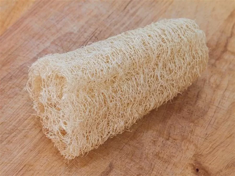 مدار الساعة,أخبار الأسرة