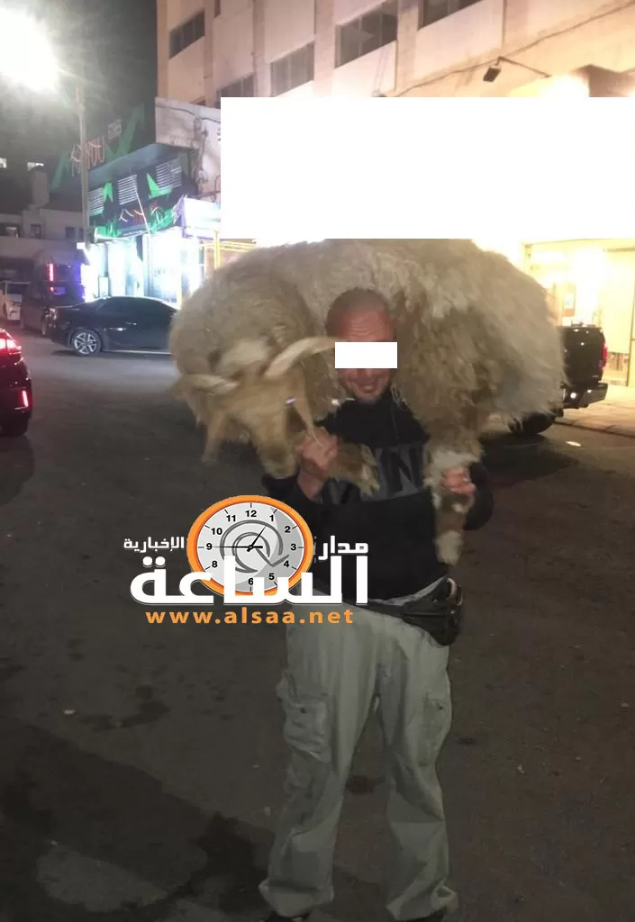 مدار الساعة,أخبار الأردن,اخبار الاردن