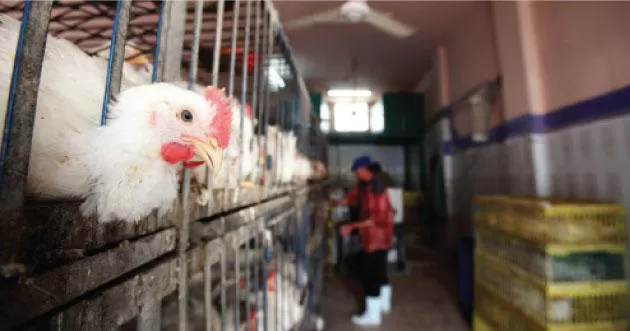 مدار الساعة,أخبار اقتصادية,وزارة الصناعة والتجارة,وزارة الصناعة