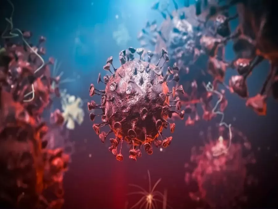 مدار الساعة,أخبار عربية ودولية,كورونا,الاتحاد الأوروبي,منظمة الصحة العالمية