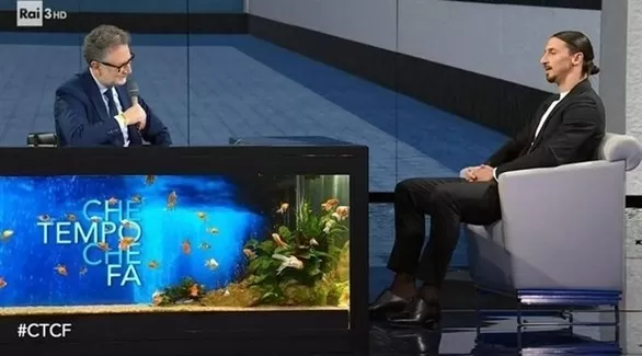 مدار الساعة,أخبار رياضية