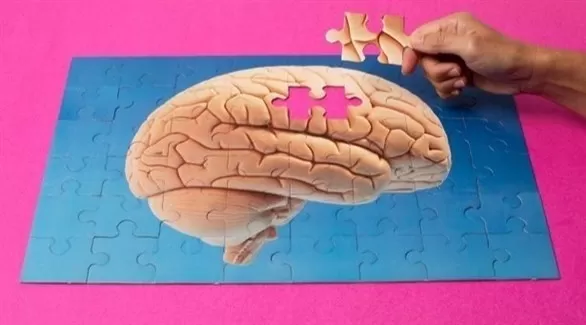 مدار الساعة,أخبار الأسرة