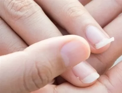 مدار الساعة,أخبار الأسرة