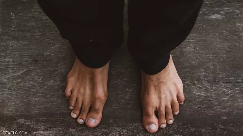 مدار الساعة,أخبار الأسرة,درجات الحرارة