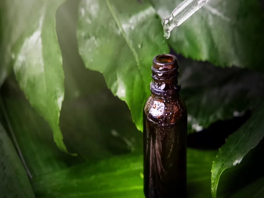 مدار الساعة,أخبار الأسرة