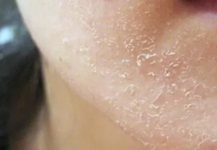 مدار الساعة,أخبار الأسرة