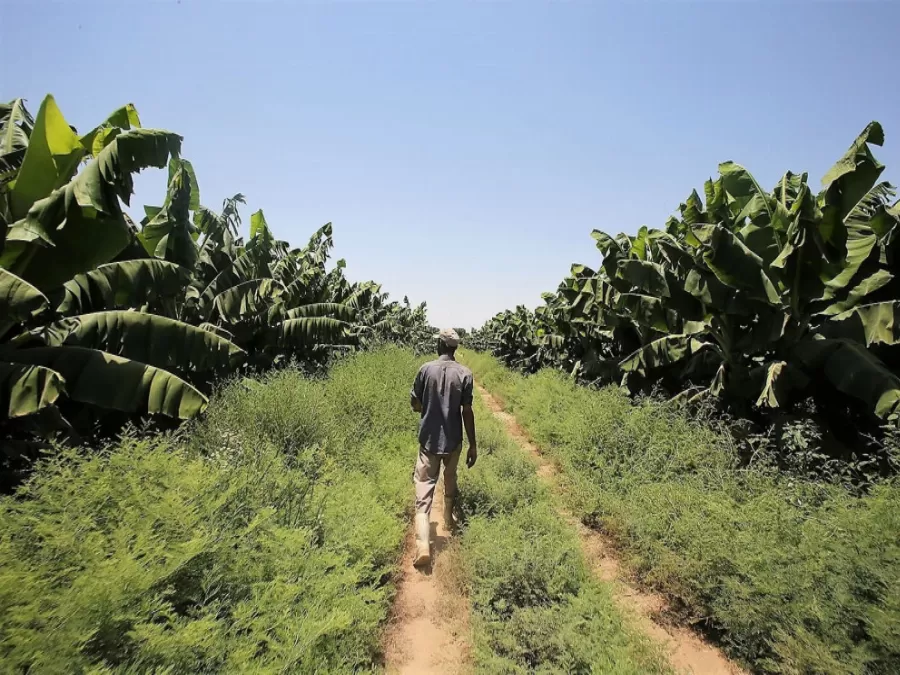 مدار الساعة,أخبار اقتصادية