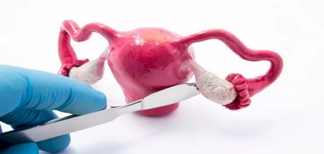 مدار الساعة,أخبار الأسرة