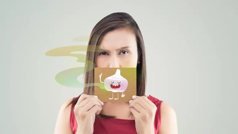 مدار الساعة,أخبار الأسرة