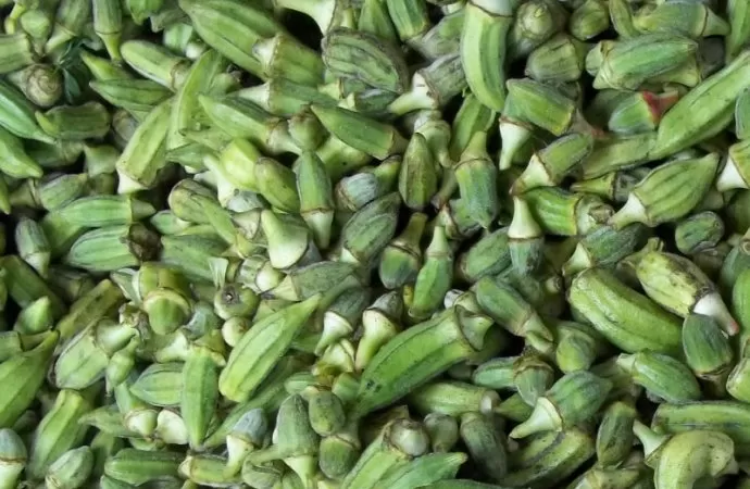 مدار الساعة,أخبار اقتصادية,وزارة الزراعة