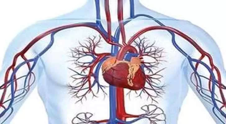 مدار الساعة,أخبار خفيفة ومنوعة