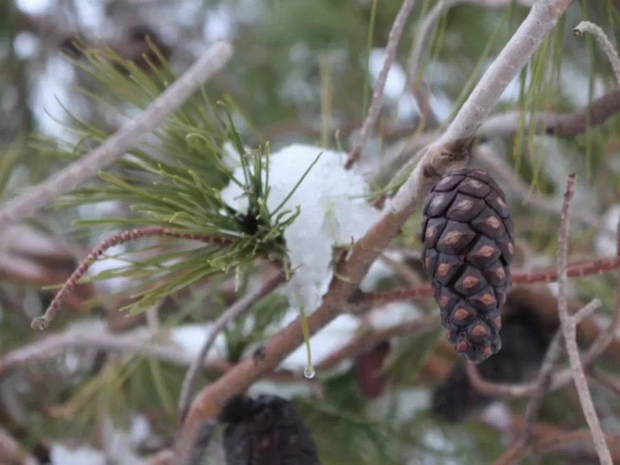 مدار الساعة,الطقس في الأردن اليوم,طقس الأردن,طقس العرب,طقس العرب الاردن,القوات المسلحة الأردنية,وزارة الأشغال العامة والإسكان,وزارة الإدارة المحلية,أمانة عمان,أمانة عمان الكبرى,وزارة الأشغال,الدفاع المدني,القوات المسلحة,درجات الحرارة,الأرصاد الجوية