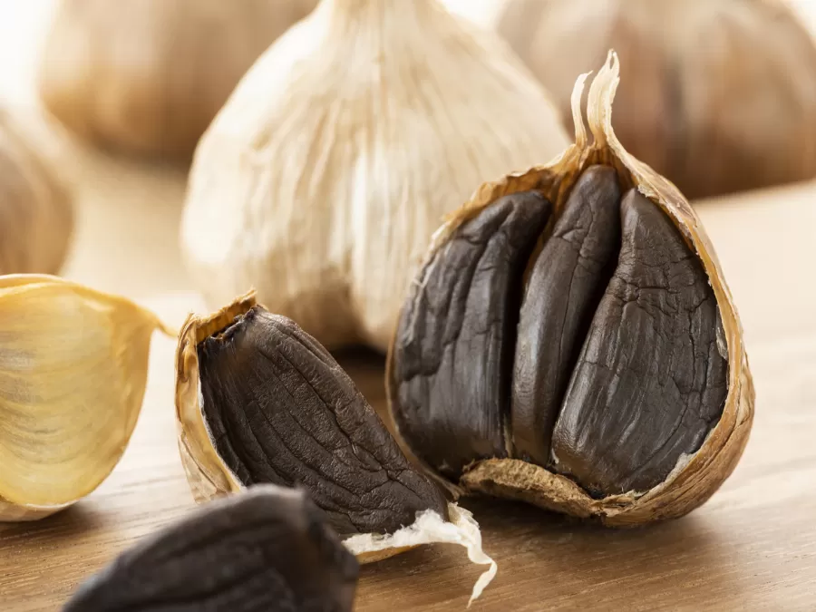 مدار الساعة,أخبار الأسرة