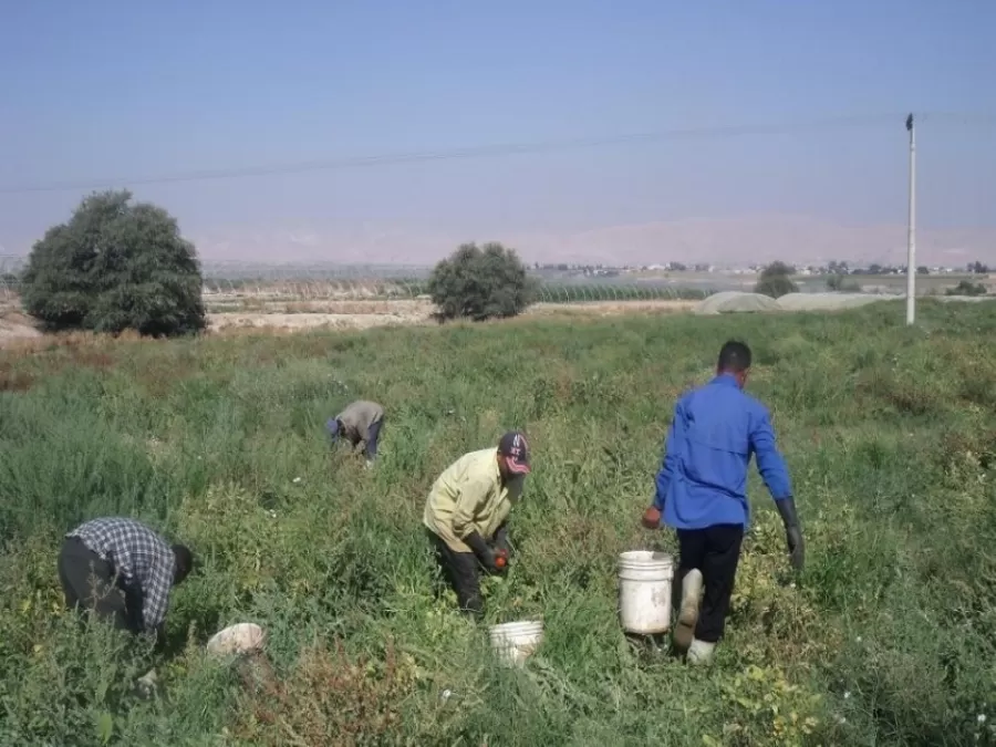 مدار الساعة,أخبار الأردن,اخبار الاردن,هيئة النزاهة ومكافحة الفساد,مكافحة الفساد