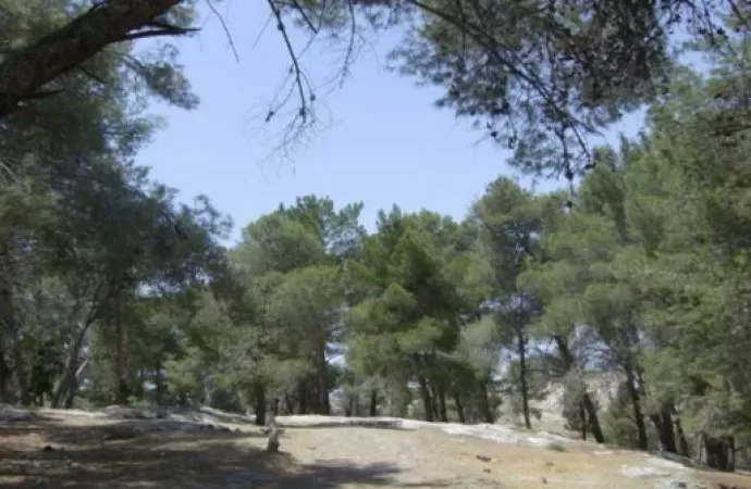 مدار الساعة,أخبار الأردن,اخبار الاردن,وزير الزراعة,وزارة الزراعة