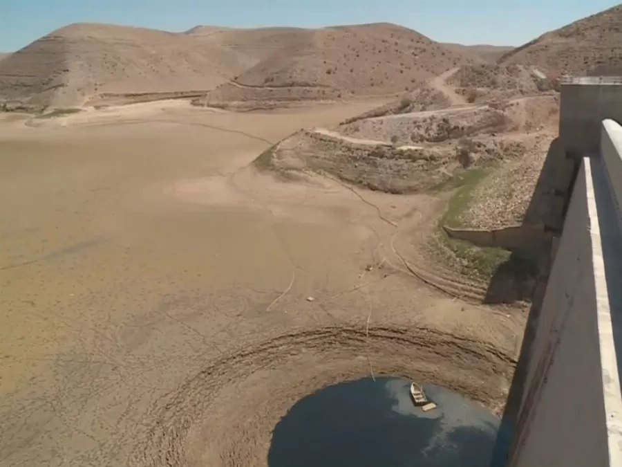 مدار الساعة,أخبار اقتصادية,وزارة الزراعة,وادي الأردن