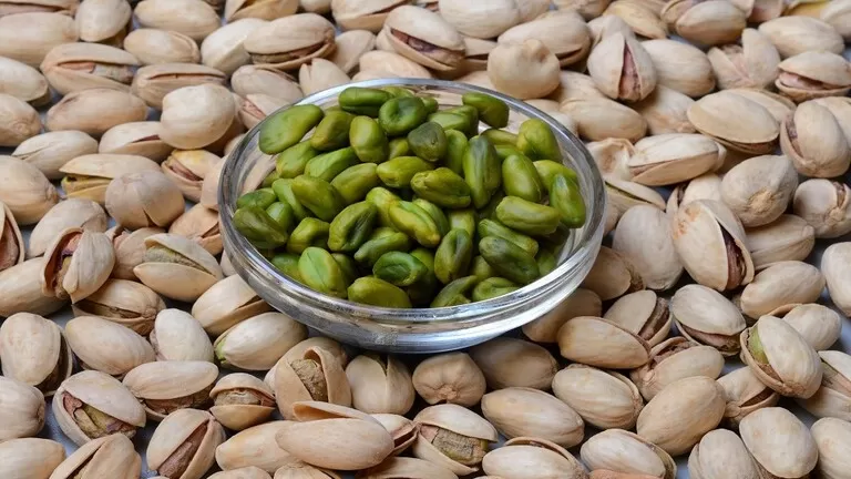 مدار الساعة,أخبار الأسرة