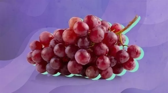 مدار الساعة,أخبار الأسرة