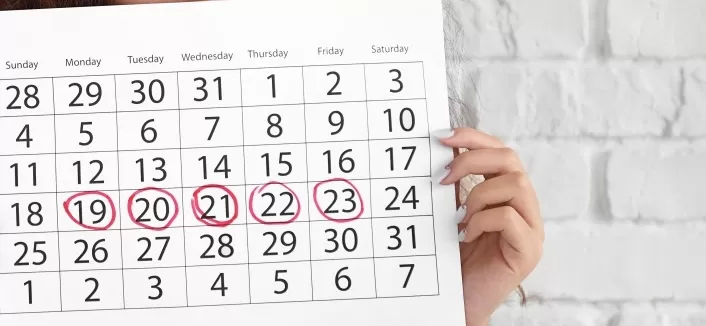 مدار الساعة,أخبار الأسرة