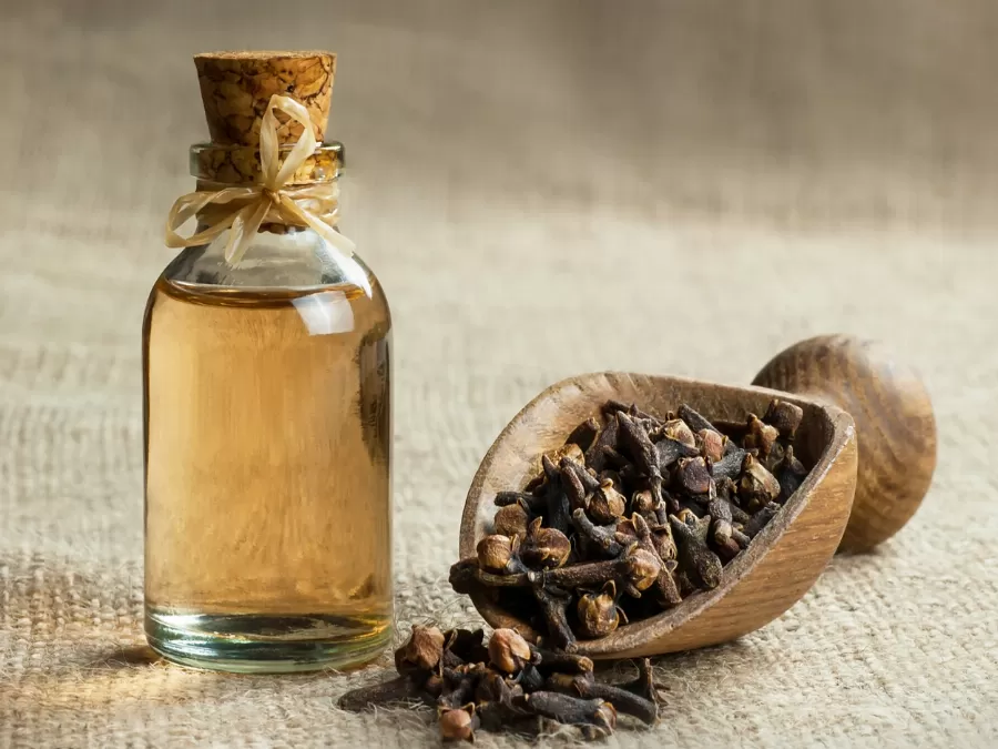مدار الساعة,أخبار الأسرة