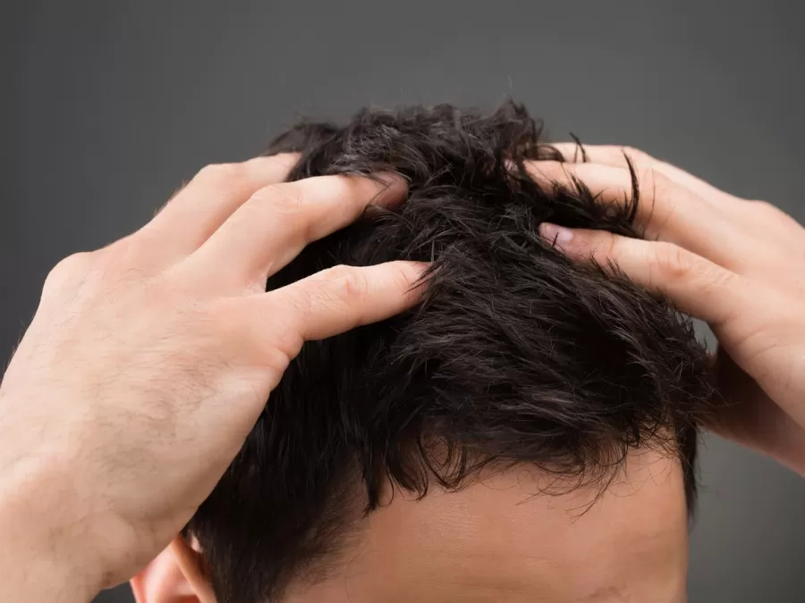 مدار الساعة,أخبار الأسرة