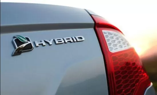 مدار الساعة,أخبار اقتصادية,المناطق الحرة,إدارة الترخيص