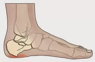 مدار الساعة,أخبار الأسرة