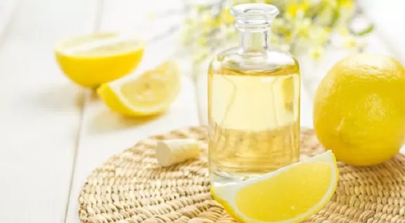 مدار الساعة,أخبار الأسرة
