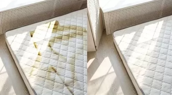 مدار الساعة,أخبار الأسرة