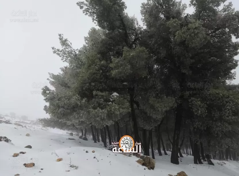 مدار الساعة,أخبار الأردن,اخبار الاردن,القوات المسلحة الأردنية,وزارة الإدارة المحلية,أمانة عمان الكبرى,الدفاع المدني,القوات المسلحة,الأرصاد الجوية,البحر الميت