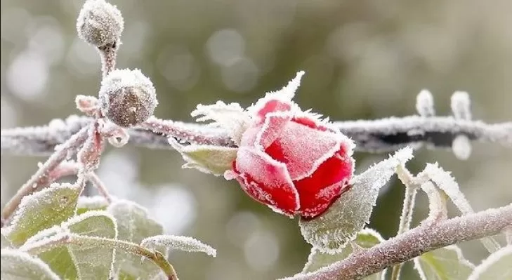 مدار الساعة,الطقس في الأردن اليوم,طقس الأردن,طقس العرب,طقس العرب الاردن,الأرصاد الجوية,البحر الميت