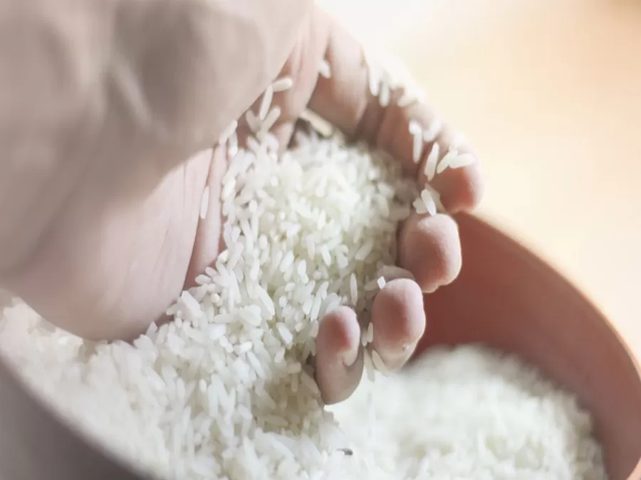 مدار الساعة,أخبار الأسرة