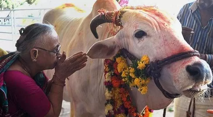 مدار الساعة,أخبار خفيفة ومنوعة,رئيس الوزراء