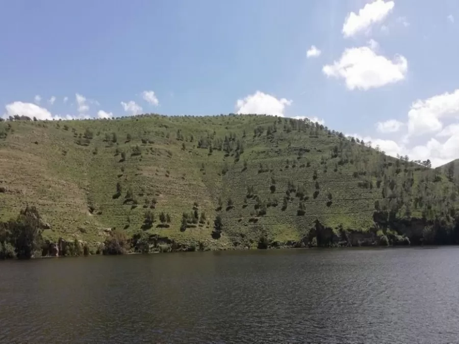 مدار الساعة,أخبار الأردن,اخبار الاردن,القوات المسلحة الأردنية,سلطة وادي الأردن,وادي الأردن,القوات المسلحة