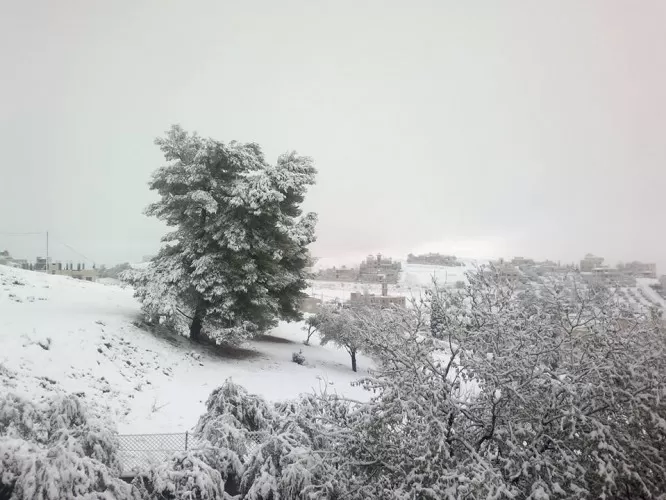 مدار الساعة,أخبار اقتصادية