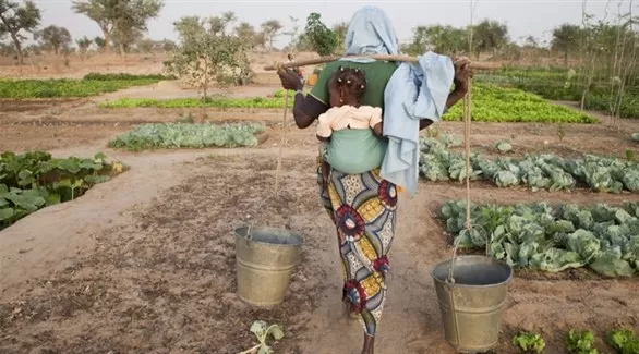 مدار الساعة,أخبار اقتصادية