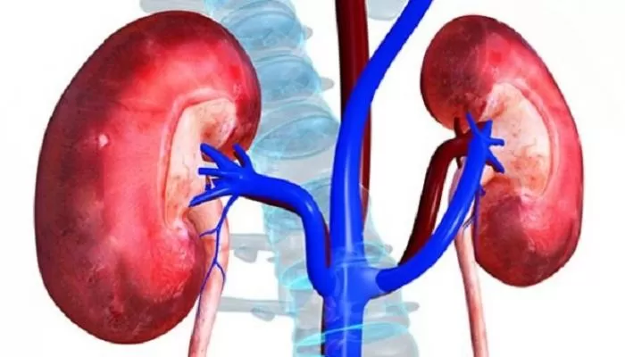 مدار الساعة,أخبار الأسرة