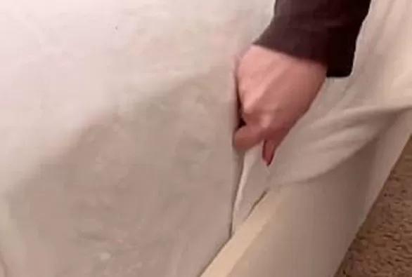 مدار الساعة,أخبار الأسرة