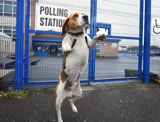 مدار الساعة,أخبار خفيفة ومنوعة