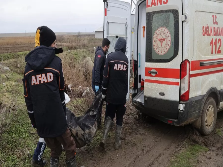 مدار الساعة,أخبار عربية ودولية