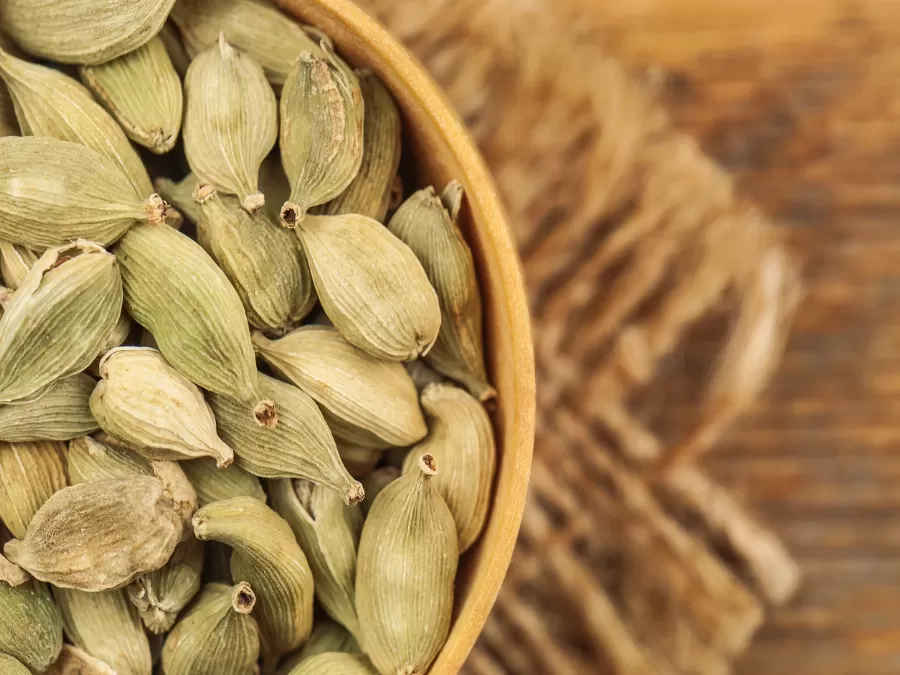 مدار الساعة,أخبار الأسرة