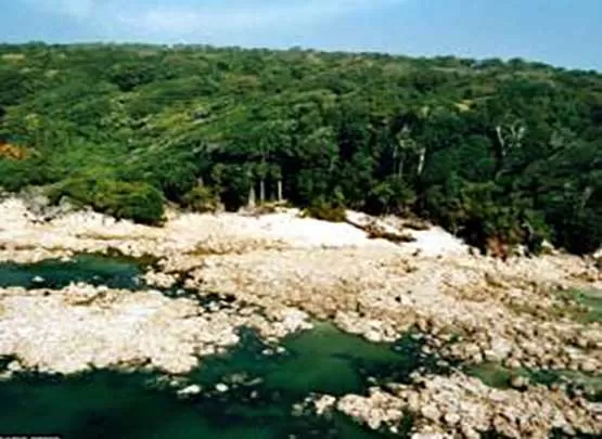 مدار الساعة,أخبار خفيفة ومنوعة