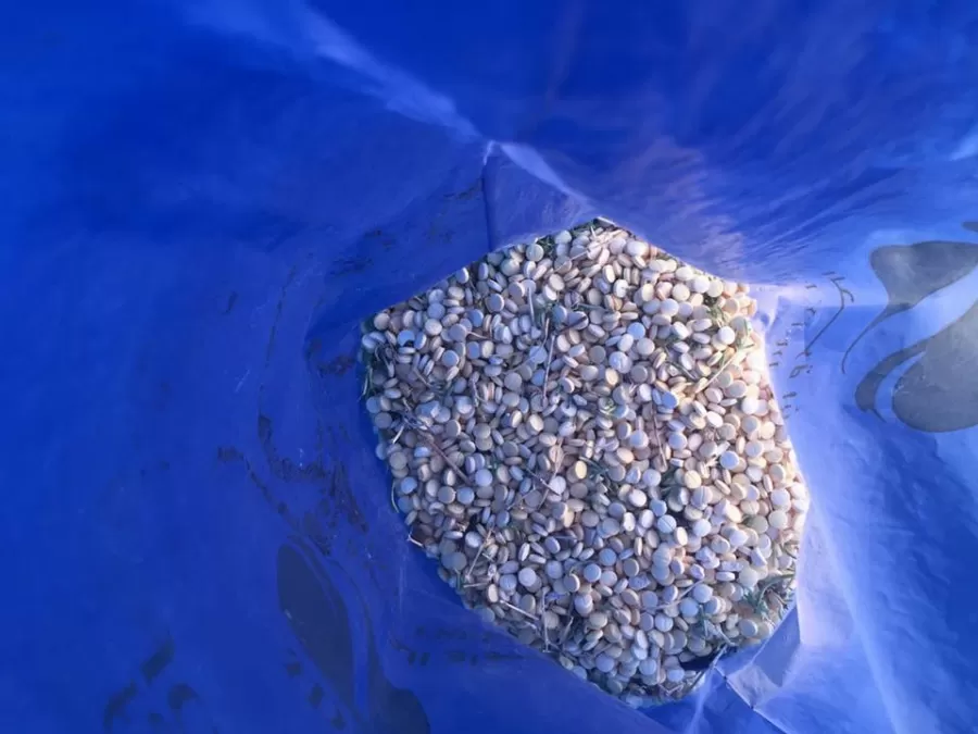 مدار الساعة,أخبار الأردن,اخبار الاردن