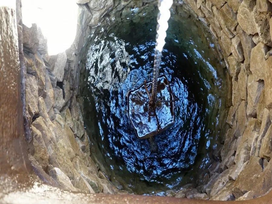 مدار الساعة,أخبار الأردن,اخبار الاردن,وزارة الزراعة,الأمن العام,الدفاع المدني
