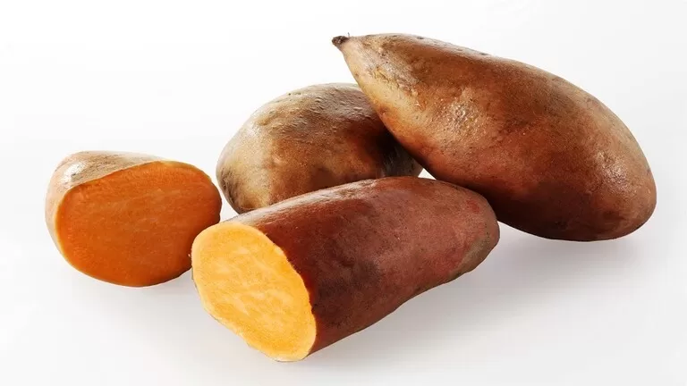 مدار الساعة,أخبار الأسرة