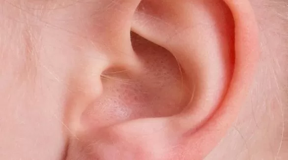 مدار الساعة,أخبار الأسرة