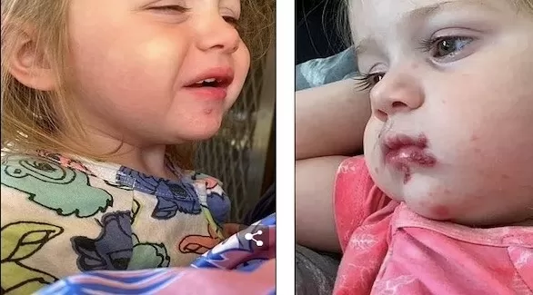مدار الساعة,أخبار الأسرة