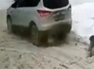 مدار الساعة,أخبار الأسرة